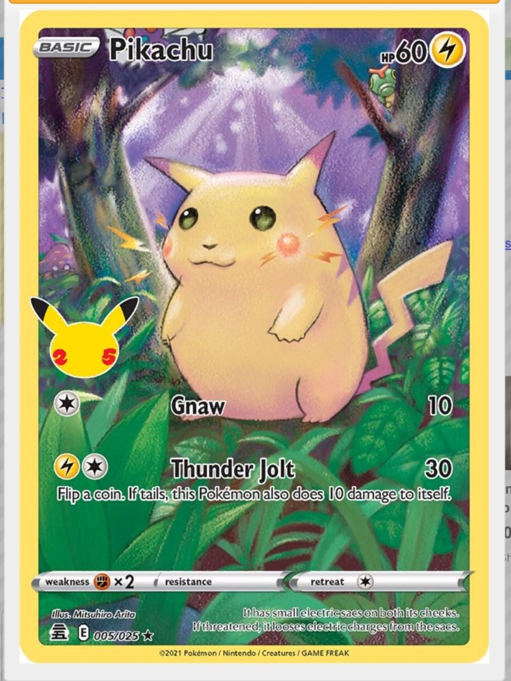 Pikachu-Celebrations